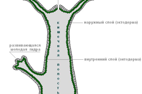 Кракен ссылка тор kr2web in