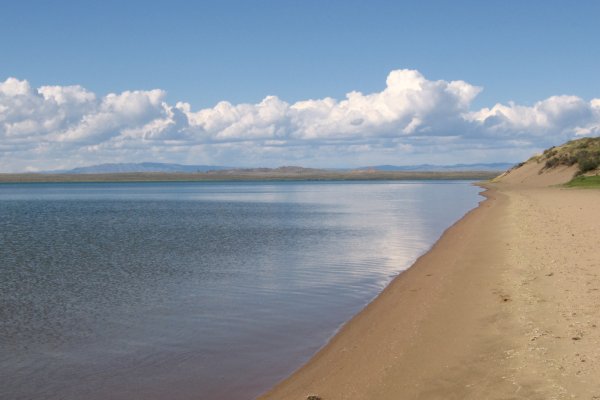 Кракен сайт как выглядит