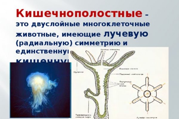 Kraken сайт вход